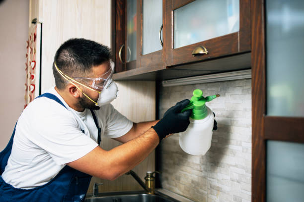 Best Emergency Pest Control  in Dike, IA
