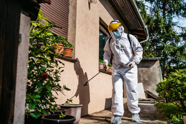 Best Pest Removal Services  in Dike, IA