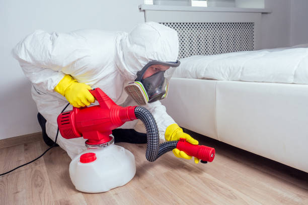 Best Pest Control for Businesses  in Dike, IA
