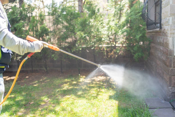 Best Pest Control Treatment  in Dike, IA
