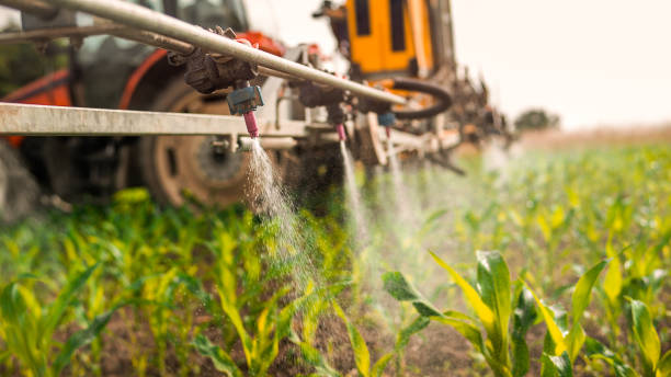 Best Pest Inspection Near Me  in Dike, IA